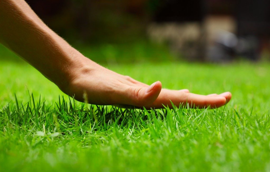 hand feeling the grass